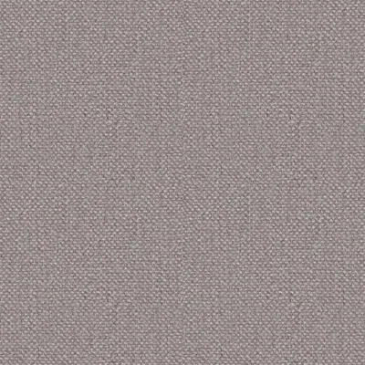 Klee Col. 5507